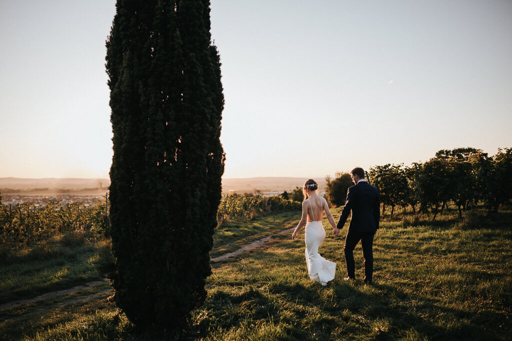 Brautpaar läuft im Weinberg in Richtung Sonnenuntergang. 